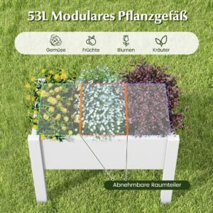 Produktas