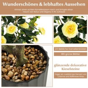 Produktas