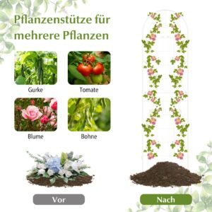 Produktas