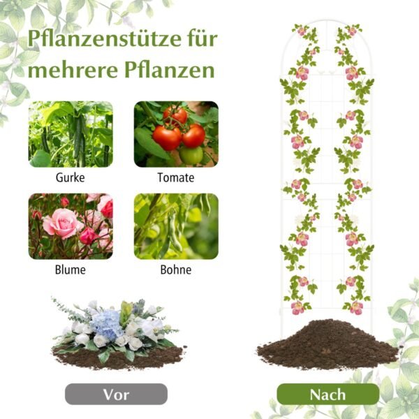 Produktas