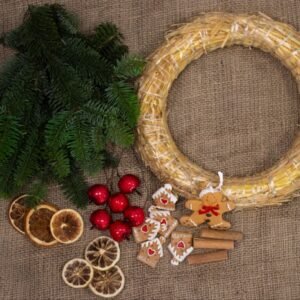 Kūrėjų rinkinys meduoliai